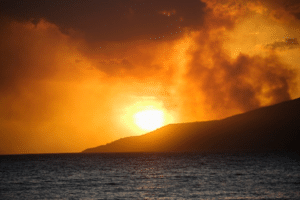 Maui Fire Disaster Image